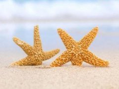 感恩励志经典语录_人要懂得感恩的句子_心存感恩经典语录