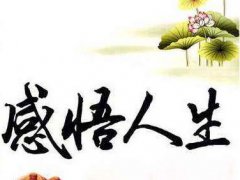 感悟人生的经典语录_描写感慨人生的句子