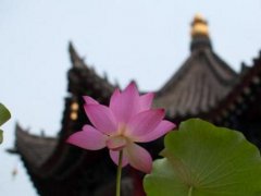 佛意古风微信网名_带有佛意的古风好听网名