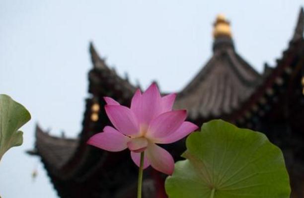 带有佛意有的网名_霸气佛意微信网名 带有佛意有的网名_霸气佛意微信网名