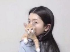 女生微信单身昵称霸气_单身女孩微信网名2020