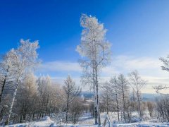 天气变冷的说说留言_2020搞笑天气变冷的说说
