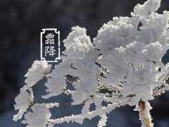 有关霜降节气的问候语_2020霜降节气最新祝福语