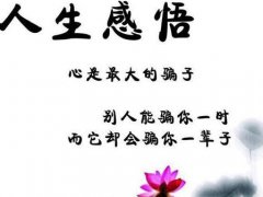 关于人生感悟的句子【生活篇】_生活感悟哲理,句句精辟