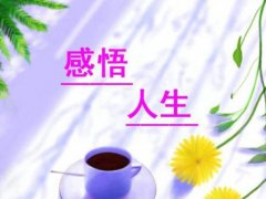 关于人生感悟的句子_感叹生活的无奈与艰辛