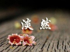 感悟生活的经典语录_生活感悟朋友圈经典说说