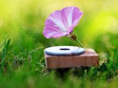 低谷时感悟人生的句子_人生感悟正能量的句子