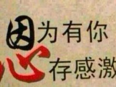 关于感恩的经典语录_心存感恩的经典语句精选50句