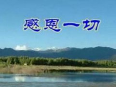 关于感恩的名言名句_学会感恩的经典语录