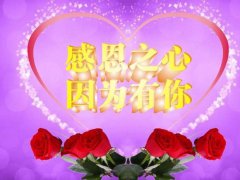 心存感激的英文句子_感恩的句子感谢的话