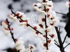 2020立冬祝福语简短独特的_立冬节气短信问候语