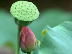 社会经典语录人生感悟_20句人生感悟深夜语录发朋友圈
