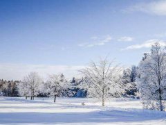 描写冬天的诗句有哪些_有关写冬天景色的经典诗句