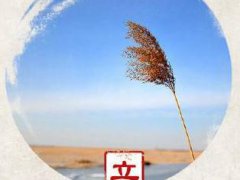 立冬朋友圈祝福语_今日立冬微信问候祝福