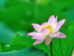 关于人生感悟哲理句子_超深奥的人生哲理经典语录