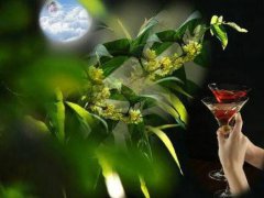 人生感悟经典语录_精辟哲理的人生感悟,句句经典