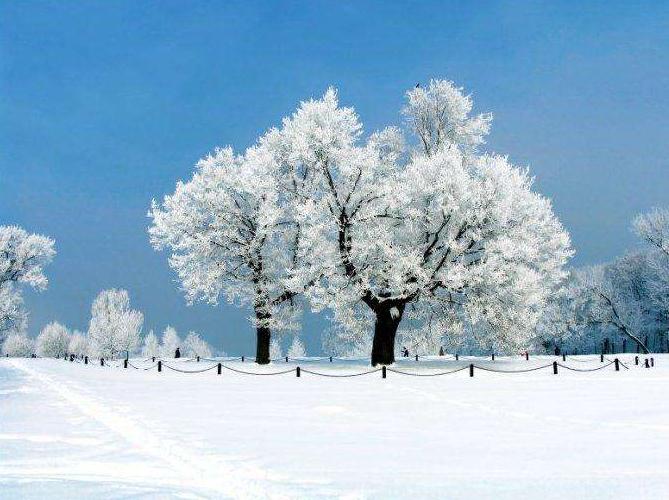 冬天下雪朋友圈文案说说