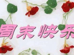 周末给客户的短信问候祝福语_周末愉快微信祝福