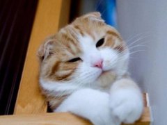 关于无聊的心情说说_原来无聊是那么的无聊