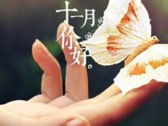 11月你好的朋友圈说说_再见10月你好11月的说说励志
