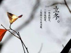 立冬节气的谚语句子_描写立冬节气的谚语