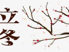 24节气立冬的谚语_立冬节气有关的经典谚语
