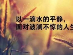 人生哲理感悟的句子_最精辟最现实的人生感悟经典语录