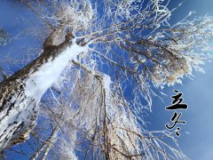 2020立冬时节经典祝福语短信100条