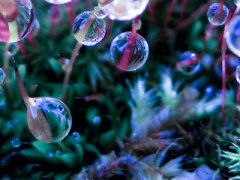 12月你好微信心情说说大全2020_十一月再见十二月你好心情说说