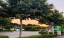 迎接二十大句子文案100句