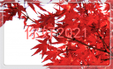 抖音文案2021跨年句子大全