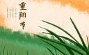 重阳节感恩活动策划方案(5篇)