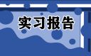 中学生社会实践调查报告