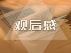 四年级《中国机长》400字观后感5篇