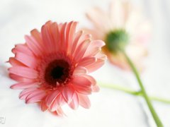 一句简短的结婚祝福语2020_给朋友结婚祝福语100句