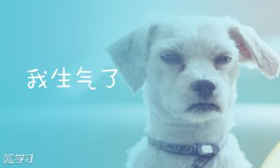 表示自己很生气的说说60句