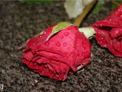 关于因为家庭不同、父母的阻拦而分手的深夜朋友圈、QQ空间伤感说说