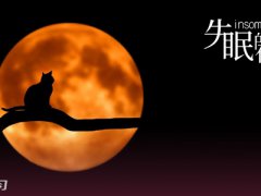 失眠了的伤感说说_深夜睡不着的经典句子