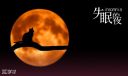 晚上失眠睡不着的心情句子