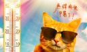 形容天气很热的句子100句