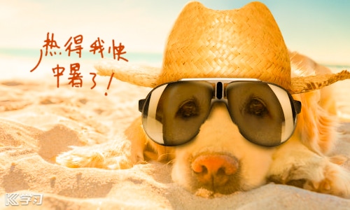 2021适合天气热发的朋友圈文案句子