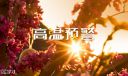 天气炎热幽默句子【100句】
