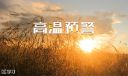 形容天气热的句子短句140句