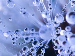 天气冷的搞笑个性说说句子_吐槽天气冷的幽默段子