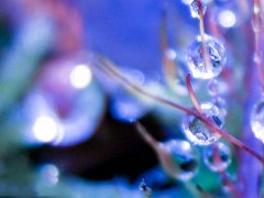 送给老师的中秋节祝福语,祝老师中秋节快乐的中秋节祝福语合集