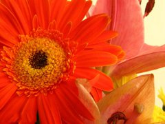关于中秋节送给客户,祝客户中秋节快乐的公司企业专用中秋节祝福语