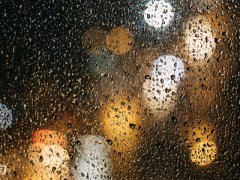 2020雨水节气的祝福语_关于雨水时节的祝福句子