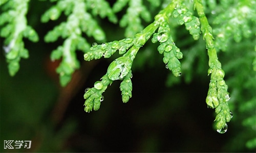 适合雨天说说唯美句子