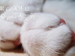 2020感到心累无力的句子_女生伤透了心的说说