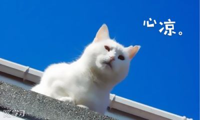心凉和失望的句子